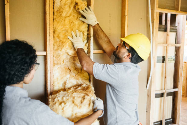 Best Insulation Inspection Services  in Buhl, ID